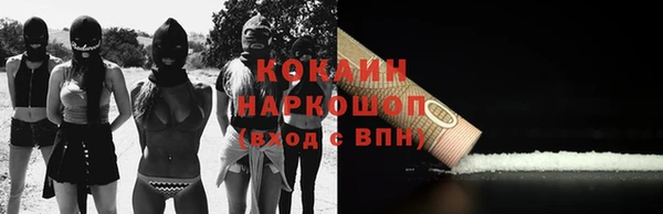 молекула духа Сосновка