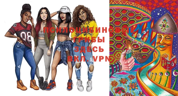 молекула духа Сосновка