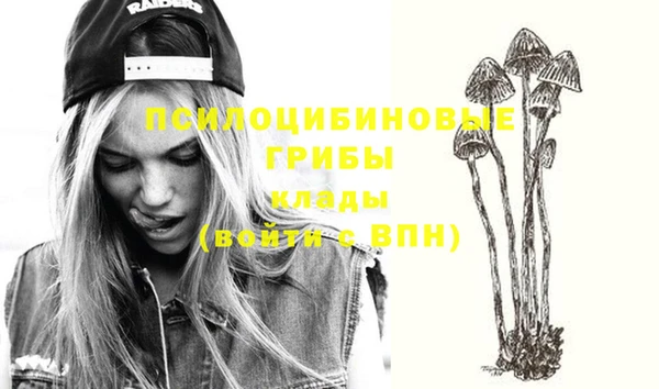 гашиш Сосновый Бор