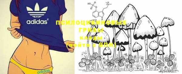 гашиш Сосновый Бор